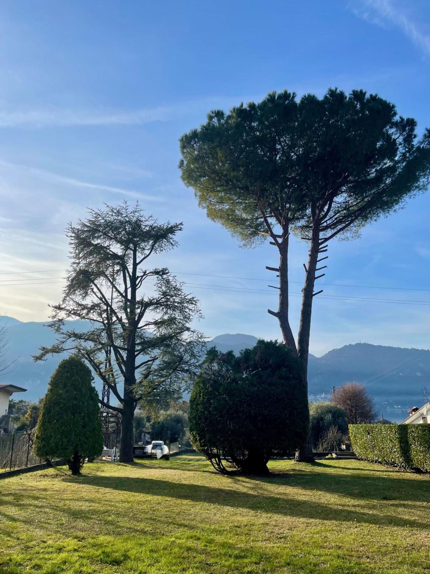 Villa Rosi Lierna Exterior photo